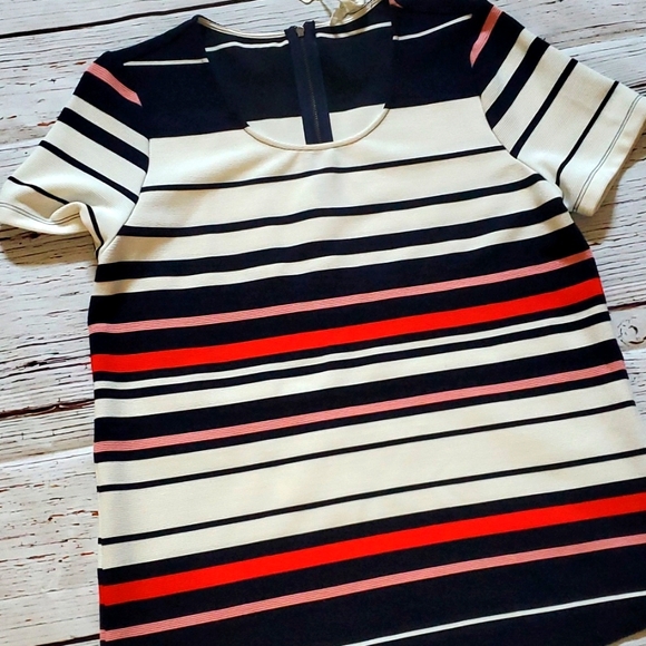 Pleione Tops - 🆕️ PLEIONE WOMEN'S STRIPED SHORT SLEEVE SHIRT 🤍💙